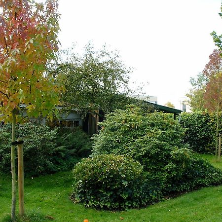 B&B De Hondsroos Dilsen-Stokkem Exteriér fotografie